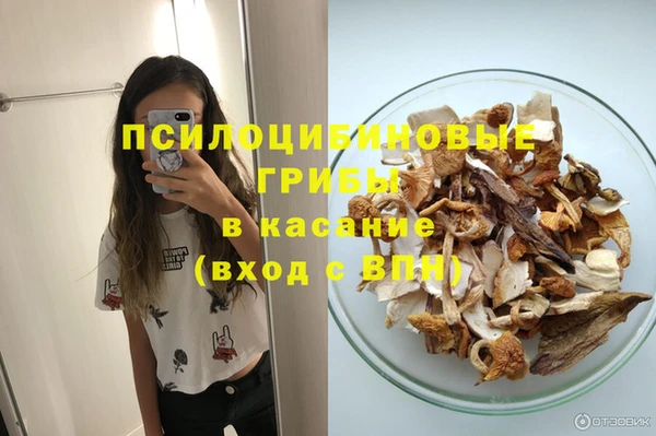 герыч Вяземский
