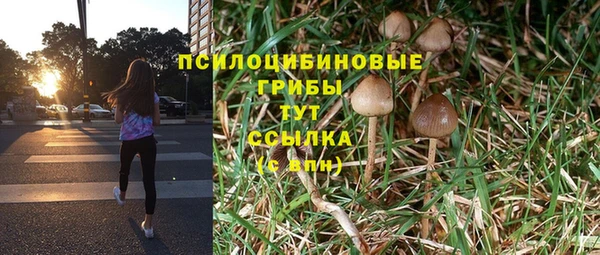 дурь Липки