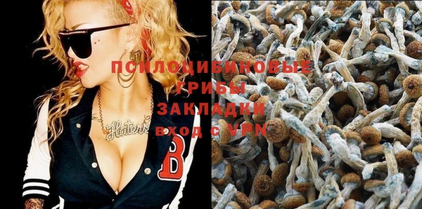 герыч Вяземский